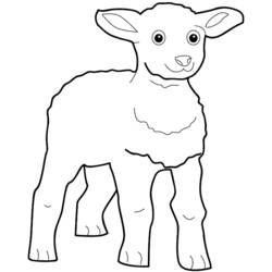 Coloring page: Lamb (Animals) #200 - Free Printable Coloring Pages
