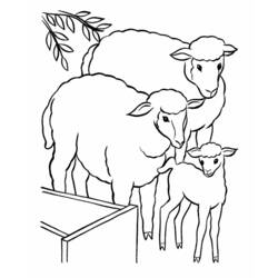 Coloring page: Lamb (Animals) #212 - Free Printable Coloring Pages