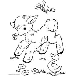 Coloring page: Lamb (Animals) #214 - Free Printable Coloring Pages