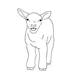 Coloring page: Lamb (Animals) #216 - Free Printable Coloring Pages