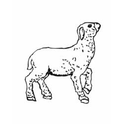 Coloring page: Lamb (Animals) #217 - Free Printable Coloring Pages