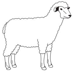 Coloring page: Lamb (Animals) #222 - Free Printable Coloring Pages
