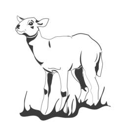 Coloring page: Lamb (Animals) #245 - Free Printable Coloring Pages