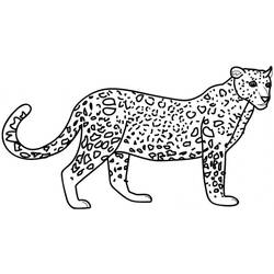 Coloring page: Leopard (Animals) #9710 - Free Printable Coloring Pages
