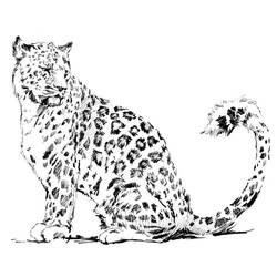 Coloring page: Leopard (Animals) #9720 - Free Printable Coloring Pages