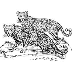 Coloring page: Leopard (Animals) #9724 - Free Printable Coloring Pages