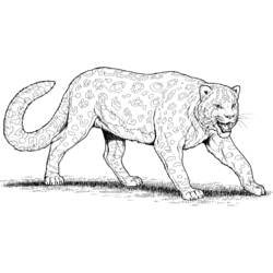Coloring page: Leopard (Animals) #9730 - Free Printable Coloring Pages