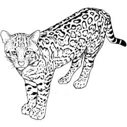 Coloring page: Leopard (Animals) #9732 - Free Printable Coloring Pages
