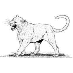 Coloring page: Leopard (Animals) #9765 - Free Printable Coloring Pages