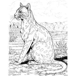 Coloring page: Leopard (Animals) #9771 - Free Printable Coloring Pages