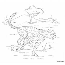 Coloring page: Leopard (Animals) #9777 - Free Printable Coloring Pages