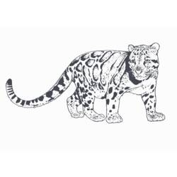 Coloring page: Leopard (Animals) #9787 - Free Printable Coloring Pages