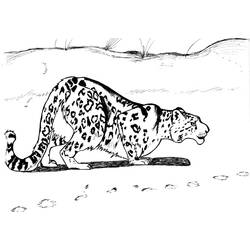 Coloring page: Leopard (Animals) #9836 - Free Printable Coloring Pages