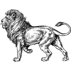Coloring page: Lion (Animals) #10318 - Free Printable Coloring Pages