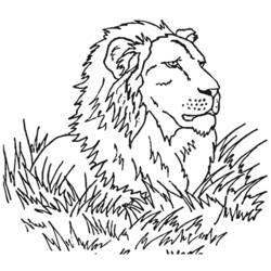 Coloring page: Lion (Animals) #10349 - Free Printable Coloring Pages