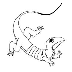 Coloring page: Lizards (Animals) #22295 - Free Printable Coloring Pages