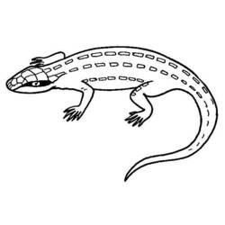 Coloring page: Lizards (Animals) #22305 - Free Printable Coloring Pages