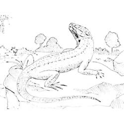 Coloring page: Lizards (Animals) #22315 - Free Printable Coloring Pages
