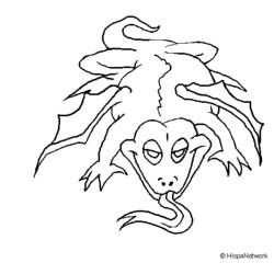 Coloring page: Lizards (Animals) #22318 - Free Printable Coloring Pages