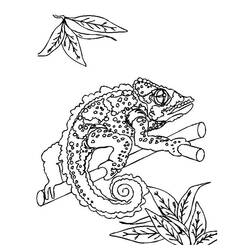 Coloring page: Lizards (Animals) #22330 - Free Printable Coloring Pages