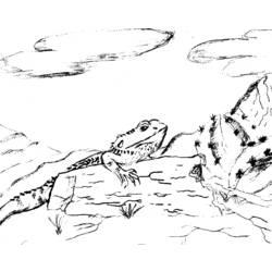 Coloring page: Lizards (Animals) #22373 - Free Printable Coloring Pages
