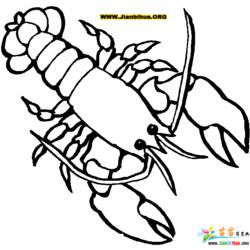 Coloring page: Lobster (Animals) #22524 - Free Printable Coloring Pages