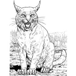 Coloring page: Lynx (Animals) #10798 - Free Printable Coloring Pages