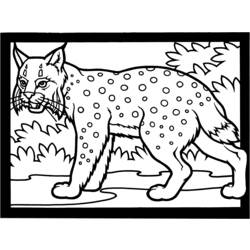 Coloring page: Lynx (Animals) #10810 - Free Printable Coloring Pages