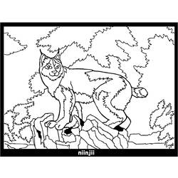 Coloring page: Lynx (Animals) #10814 - Free Printable Coloring Pages