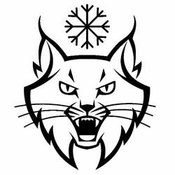 Coloring page: Lynx (Animals) #10839 - Free Printable Coloring Pages