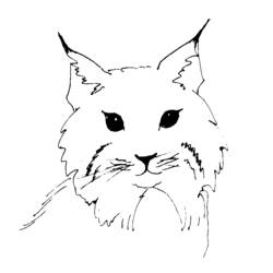 Coloring page: Lynx (Animals) #10841 - Free Printable Coloring Pages