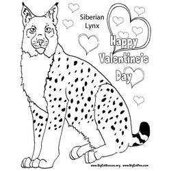 Coloring page: Lynx (Animals) #10843 - Free Printable Coloring Pages