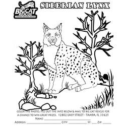 Coloring page: Lynx (Animals) #10848 - Free Printable Coloring Pages