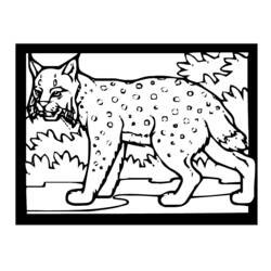 Coloring page: Lynx (Animals) #10851 - Free Printable Coloring Pages