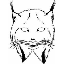 Coloring page: Lynx (Animals) #10873 - Free Printable Coloring Pages