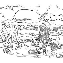 Coloring page: Marine Animals (Animals) #21989 - Free Printable Coloring Pages