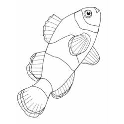 Coloring page: Marine Animals (Animals) #22016 - Free Printable Coloring Pages