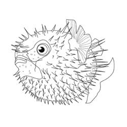 Coloring page: Marine Animals (Animals) #22034 - Free Printable Coloring Pages