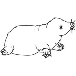 Coloring page: Mole rat (Animals) #19381 - Free Printable Coloring Pages