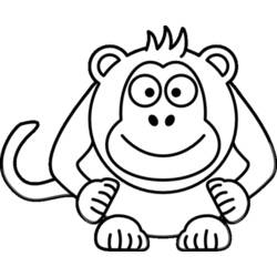 Coloring page: Monkey (Animals) #14165 - Free Printable Coloring Pages