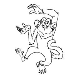 Coloring page: Monkey (Animals) #14224 - Free Printable Coloring Pages