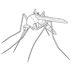 Coloring page: Mosquito (Animals) #11320 - Free Printable Coloring Pages