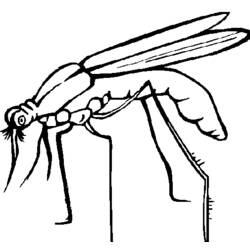 Coloring page: Mosquito (Animals) #11324 - Free Printable Coloring Pages