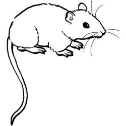 Coloring page: Mouse (Animals) #13941 - Free Printable Coloring Pages