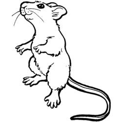 Coloring page: Mouse (Animals) #13953 - Free Printable Coloring Pages