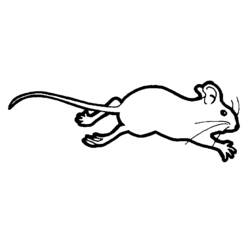Coloring page: Mouse (Animals) #13985 - Free Printable Coloring Pages