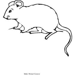 Coloring page: Mouse (Animals) #14111 - Free Printable Coloring Pages
