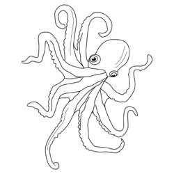 Coloring page: Octopus (Animals) #18976 - Free Printable Coloring Pages