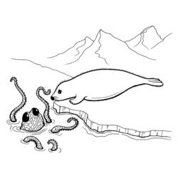Coloring page: Octopus (Animals) #19023 - Free Printable Coloring Pages