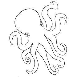 Coloring page: Octopus (Animals) #19103 - Free Printable Coloring Pages